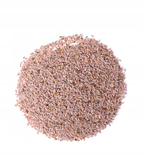 Vajcia OVA SEED 5KG