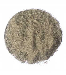 Garlic medvede mleté 500g