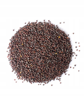 Gorczyca Black Grain 5kg Vysoká kvalita