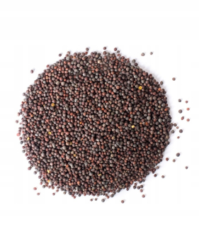 Gorczyca Black Grain 5kg