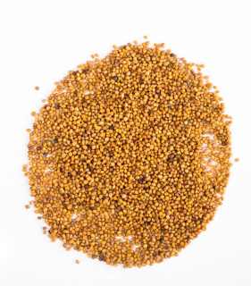 SAREPKA GORGORON 5KG GRAIN