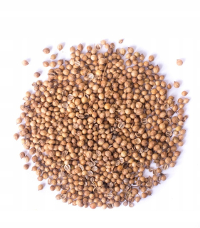 Koriander Grain 10kg vysoká kvalita