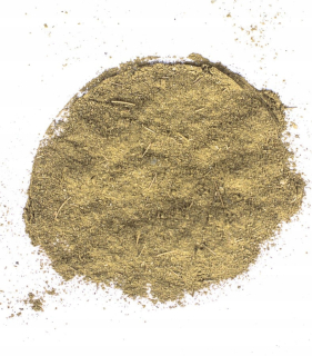 MORINGA OLIFERA MIELONA 1KG Vysoká kvalita