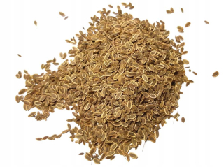 Záhradné fenikelové semená 5kg