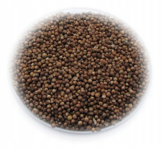 Semená Coriander 5 kg